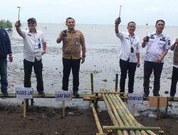 Sambut HPN 2023, PWI Kabupaten Tangerang Tanam 1.000 Pohon Mangrove