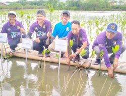 PWI Kabupaten Tangerang Gandeng DLHK Tanam Mangrove dan Lepas Kepiting Belangkas di Ketapang Urban Aquaculture