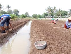 Jurus DPKP Kabupaten Tangerang Atasi Inflasi