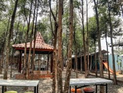 The Gaharu Eatery, Tempat Nongkrong Asyik di Tengah Kebun Gaharu