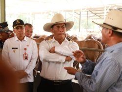 Menteri Pertanian Tinjau Peternakan Sapi di Kabupaten Tangerang