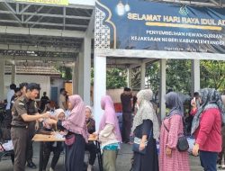 Peringati Idul Adha 1445 H, Kejari Kabupaten Tangerang Potong 5 Ekor Sapi