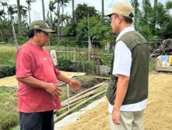 Bulog Serap 21.553 Ton Gabah Petani Kabupaten Tangerang 