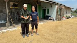 Bulog Tangerang Catatkan Prestasi Serap Gabah Petani