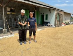 Bulog Tangerang Catatkan Prestasi Serap Gabah Petani