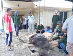 Semangat Berbagi Idul Adha, Quantum King Sulaiman Salurkan Qurban untuk Masyarakat Pamulang