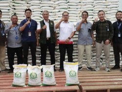 Bulog dan DPKP Kabupaten Tangerang Cek Kualitas dan Kuantitas  Beras  Bantuan Alokasi Juni-Juli 2025 