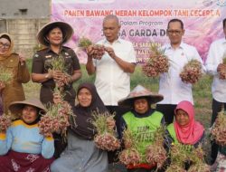 Panen Raya Bawang Merah di Sepatan, Wujud Program JAGA DESA Dorong Ketahanan Pangan