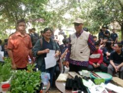 Ratusan Siswa SMP Strada Marga Mulia Praktek Tanam Sayuran Hidroponik di Kebun Agradipa Tigaraksa 
